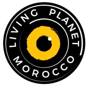 LOGO-LPM-1-2048x2009-1-300x294 LOGO-LPM-1-2048x2009