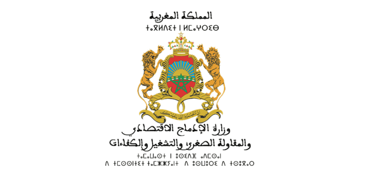 Ministere-de-lEmploi-et-des-Competences-Concours-Emploi-Recrutement-750x393-1 الوظيفة العمومية: توظيف 1387 منصبا في عدة تخصصات ابتداء من النيفو بكالوريا والبكالوريا فما فوق. الترشيح قبل 8 نونبر 2025