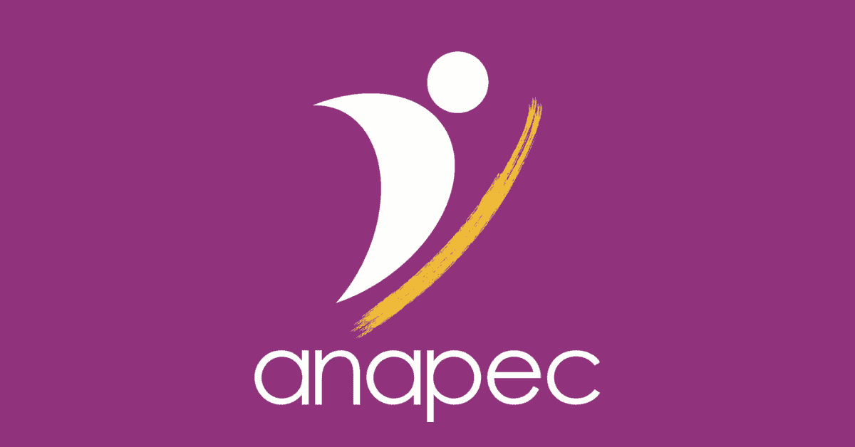 anapec-5 توظيف 1277 منصبا في عدة مناصب بمختلف الإدارات والمؤسسات العمومية. الترشيح قبل 30 نونبر 2025