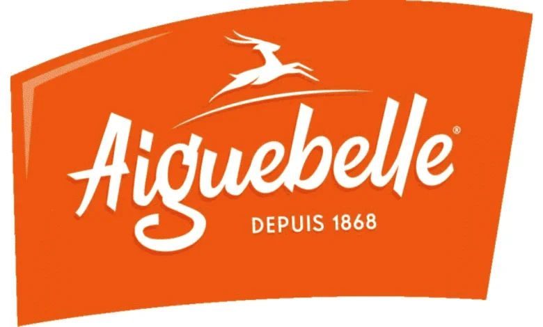 Aiguebelle-Emploi-Recrutement-1-780x470-1 كونكورات جداد ديال الجماعات القروية باغين اوظفو في مناصب و تخصصات مختلفة. آخر أجل هو 3 شتنبر 2022