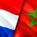 الأنابيك: توظيف 10 عمال في الأشغال الغابوية بفرنسا بعقد عمل دائم CDI