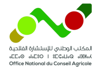 Liste des Convoqués Oral Concours de Recrutement ONCA 2026 (50 Postes)