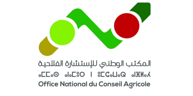 Liste des Convoqués Oral Concours de Recrutement ONCA 2026 (50 Postes)