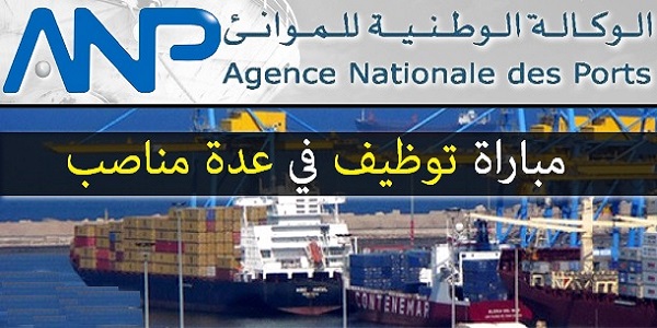 anp-toutaumaroc الوظيفة العمومية: توظيف 785 منصبا لحاملي شهادة البكالوريا أو التقني أو الإجازة فما فوق بعدة مؤسسات ومصالح. الترشيح قبل 6 فبراير 2026