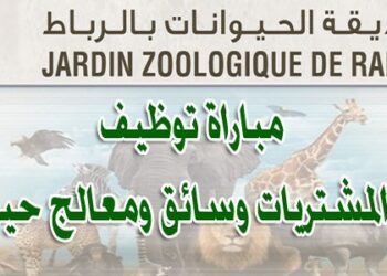 شركة حديقة الحيوانات بالرباط: مباراة توظيف 6 مناصب. آخر أجل 01 يوليوز 2026