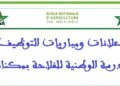 إعلان عن مباراة توظيف (بموجب عقد) متصرف (1) من الدرجة الثانية
