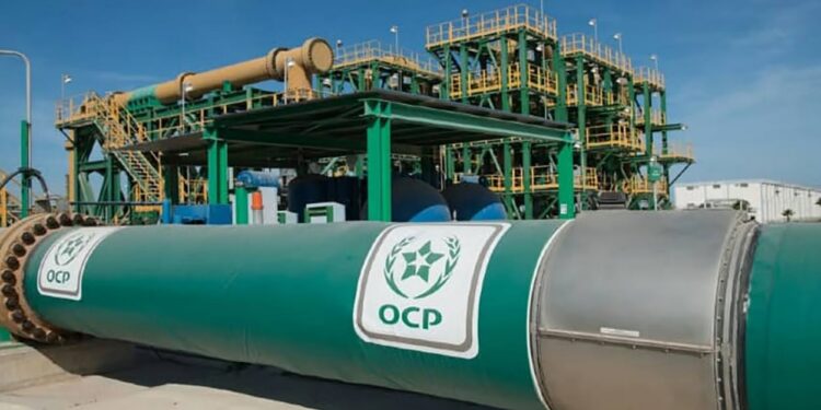 تقديم طلب عمل بالمكتب الشريف للفوسفاط OCP المغرب 2026