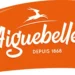 Aiguebelle lance une campagne de recrutement pour divers postes