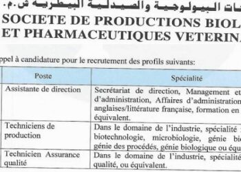 مكتب تنمية التعاون : مباريات لتوظيف 18 مناصب. آخر أجل 30 يوليوز 2026