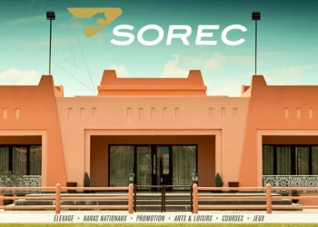 3 postes ouverts à Rabat et Marrakech chez la SOREC