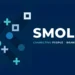 Smollan recrute des animatrices commerciales partout au Maroc