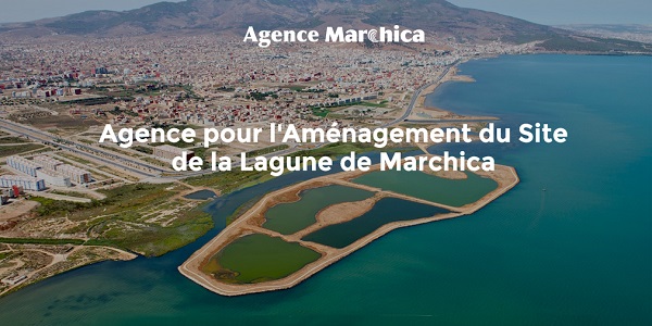 marchica-med الوظيفة العمومية: توظيف 1789 منصبا لحاملي شهادة البكالوريا أو التقني أو المتخصص بعدة جماعات محلية والمؤسسات العمومية الجماعات. الترشيح قبل 18 شتنبر 2025