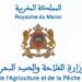 وزارة الفلاحة والصيد البحري والتنمية القروية والمياه والغابات : مباريات لتوظيف 70 مناصب. آخر أجل 19 غشت 2026