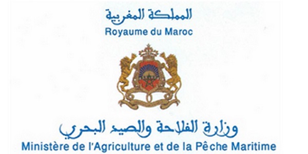 agriculture-ministere الوظيفة العمومية: توظيف 3875 منصبا في عدة تخصصات ابتداء من النيفو بكالوريا والبكالوريا فما فوق. الترشيح قبل 8 يوليوز 2025