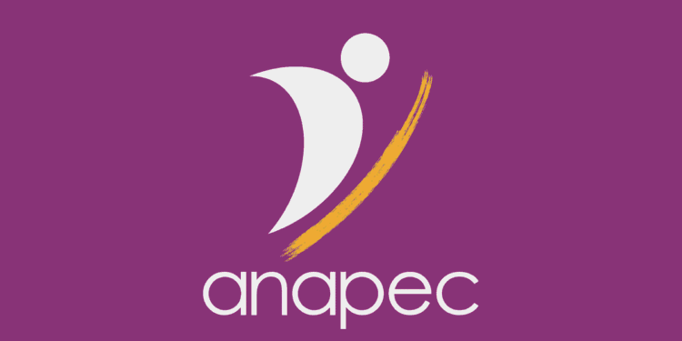 ANAPEC recrute 11 Agents de Développement dans plusieurs villes