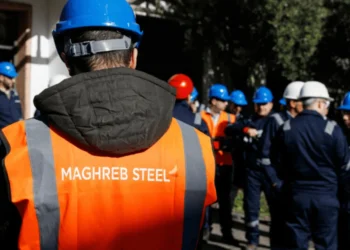 Nouvelles opportunités professionnelles ouvertes chez Maghreb Steel
