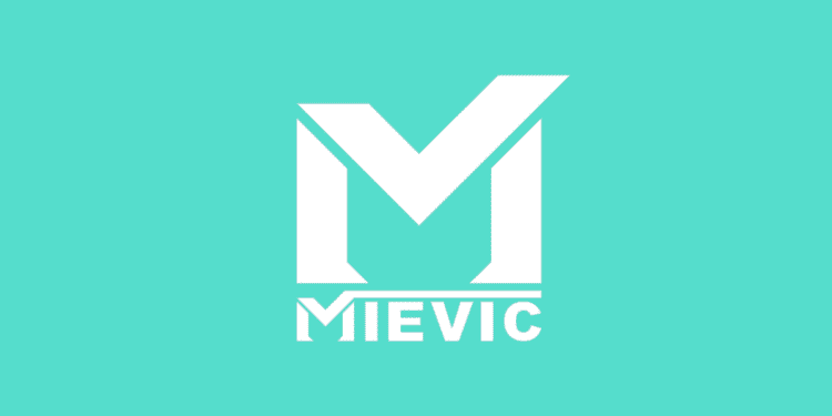 Nouvelles opportunités chez MIEVIC pour les passionnées des réseaux sociaux