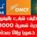حملة توظيف شباب بالنيفو باك فما فوق بأجرة شهرية 8000 درهم وأكثر ذكورا وإناثا بعدة مدن