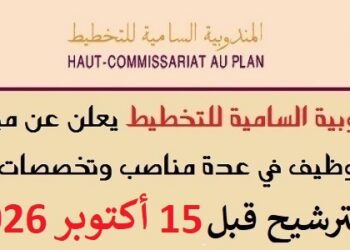 المندوبية السامية للتخطيط HCP : مباريات لتوظيف 20 مناصب. آخر أجل 15 أكتوبر 2026