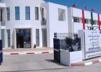 المعهد الوطني للبحث في الصيد البحري : مباريات لتوظيف 7 مناصب. آخر أجل 6 أكتوبر 202644
