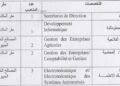 المكتب الجهوي للاستثمار الفلاحي لتادلة : مباريات لتوظيف 20 مناصب. آخر أجل 13 أكتوبر 2026