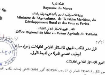 المكتب الجهوي للاستثمار الفلاحي لتافيلالت : مباريات لتوظيف 26 مناصب. آخر أجل 19 أكتوبر 2026