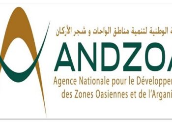 الوكالة الوطنية لتنمية مناطق الواحات وشجر الأركان : مباريات لتوظيف 05 مناصب. آخر أجل 23 أكتوبر 2026