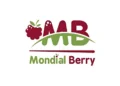 Mondial Berry recrute des Acheteurs en CDI dans 3 villes
