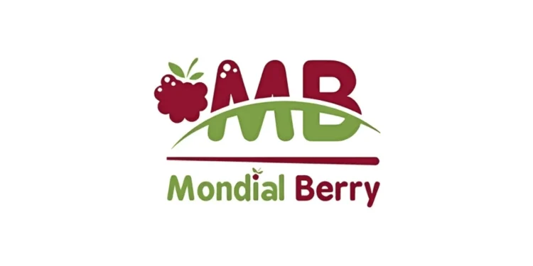 Mondial Berry recrute des Acheteurs en CDI dans 3 villes