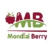 Mondial Berry recrute des Acheteurs en CDI dans 3 villes