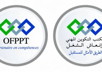 مباراة توظيف 16 منصب بمكتب التكوين المهني وإنعاش الشغل 2026