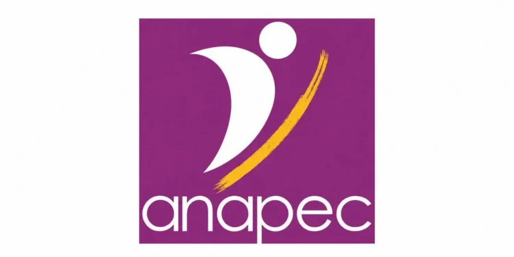 ANAPEC recrute 100 équipiers en restauration rapide à Tanger