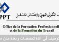 مكتب التكوين المهني وإنعاش الشغل : مباريات لتوظيف 05 مناصب. آخر أجل 29 أكتوبر 2026