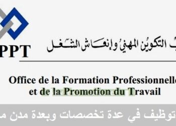 مكتب التكوين المهني وإنعاش الشغل : مباريات لتوظيف 05 مناصب. آخر أجل 29 أكتوبر 2026
